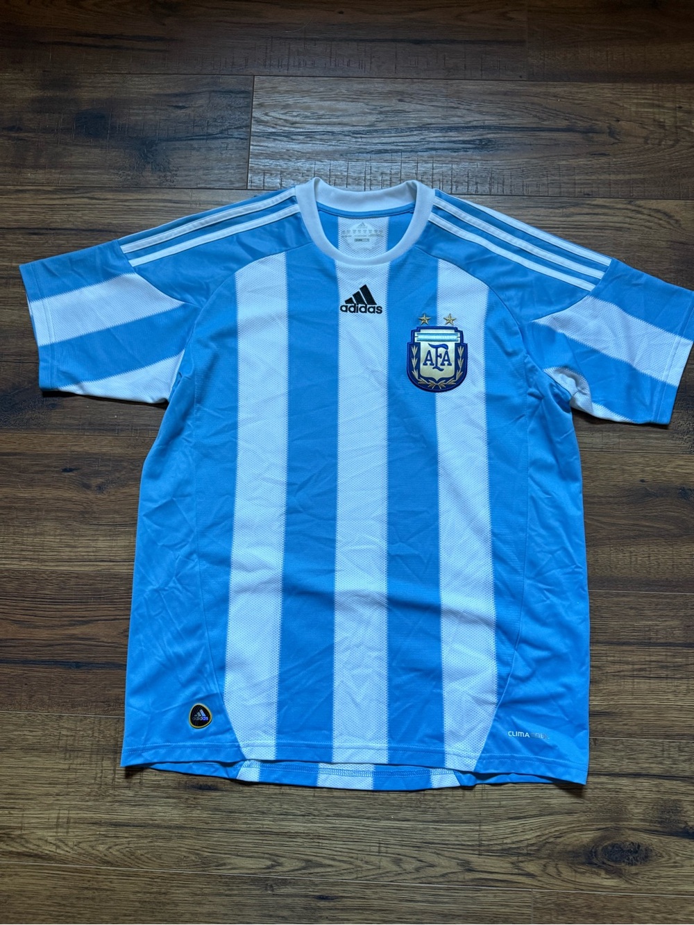 Vtg Adidas Argentina National Team Home Football Shirt 2010/2011 M Soccer Jersey